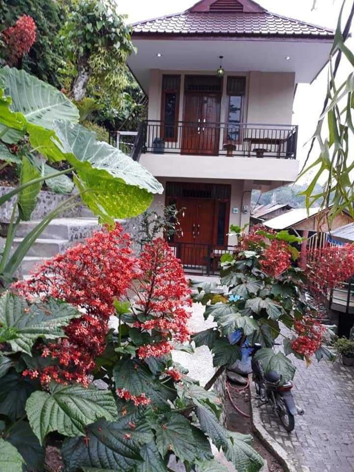 Bukit Lawang Hotel Eksteriør billede